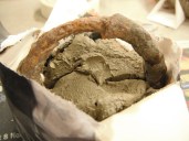 River Journey, Bridget Macklin, 2014