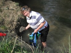 River Journey, Bridget Macklin, 2014