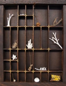 151228-found-in-the-woodlands-1med-307x400[1]