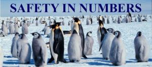 safety%20in%20numbers1