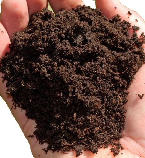  soil with rich organic matter